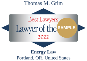 Best Lawyers Award Badge