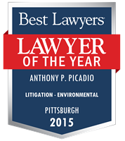 Lawyer of the Year Badge - 2015 - Litigation - Environmental