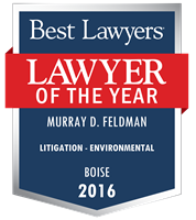 Lawyer of the Year Badge - 2016 - Litigation - Environmental