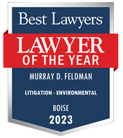 Lawyer of the Year Badge - 2023 - Litigation - Environmental