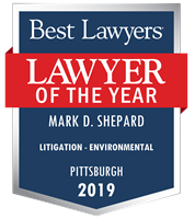 Lawyer of the Year Badge - 2019 - Litigation - Environmental