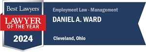 Best Lawyers Award Badge