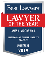 Lawyer of the Year Badge - 2019 - Director and Officer Liability Practice